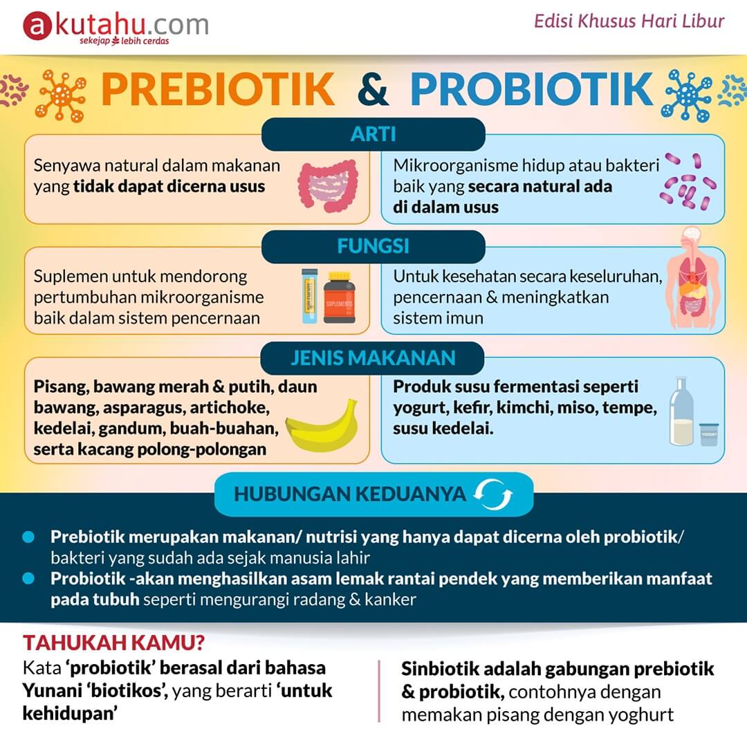 prebiotik vs probiotik