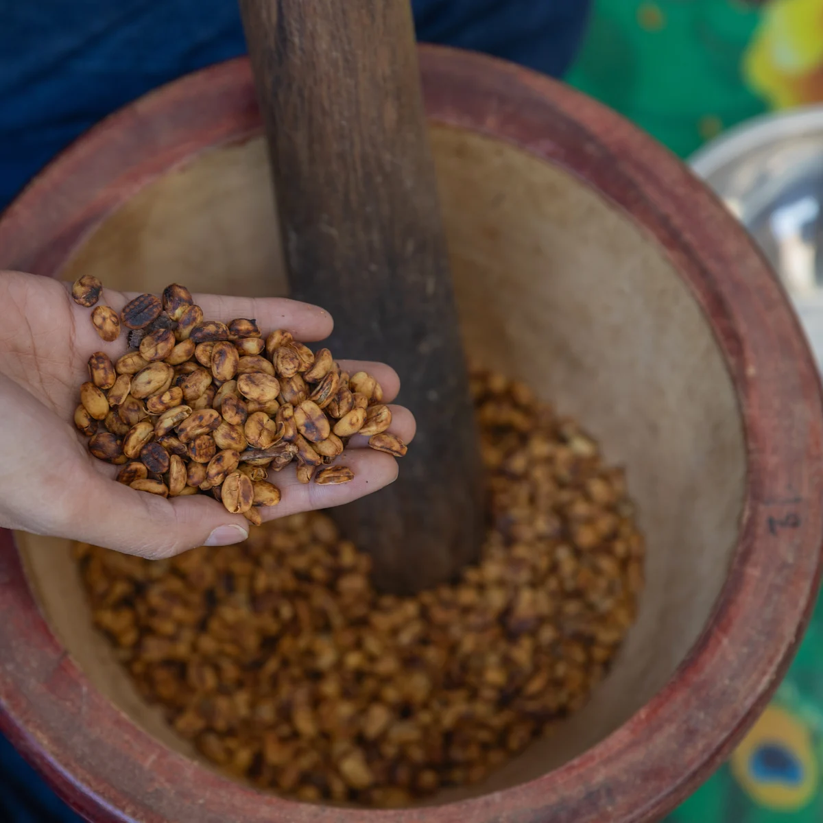 peluang bisnis kopi luwak