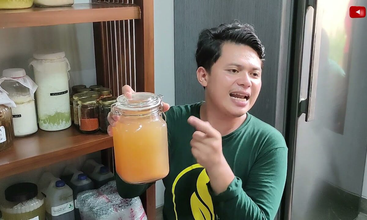 Ragam Contoh Inovasi Produk Minuman Probiotik untuk Bisnis 1 contoh minuman probiotik