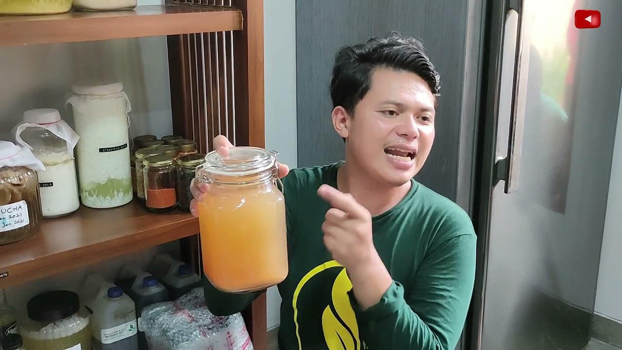 contoh minuman probiotik