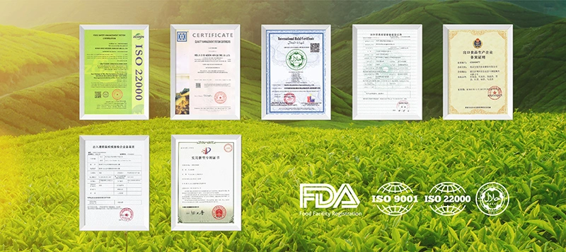 Tips Menemukan Pabrik Powder Minuman Terbaik untuk Maklon 6