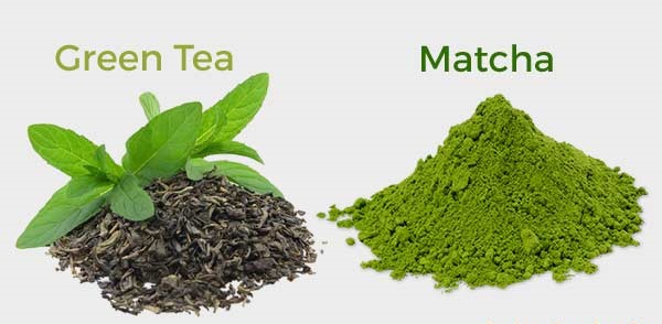 Perbedaan Bubuk Minuman Matcha dan Green Tea, Pengusaha Wajib Tahu 1