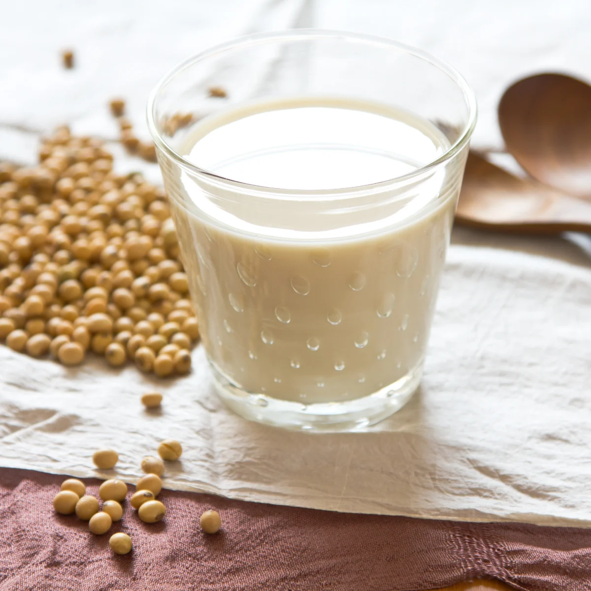 manfaat susu kedelai untuk ibu hamil