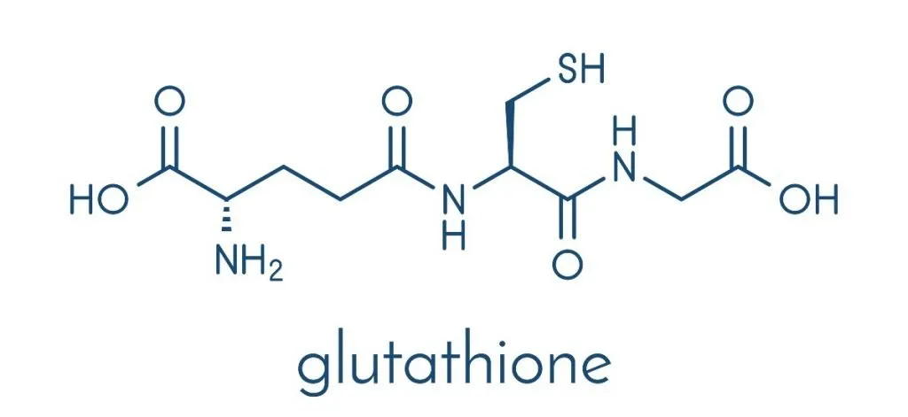 Apa itu Glutathione dan Manfaatnya Untuk Kesehatan Tubuh 1 glutathione adalah