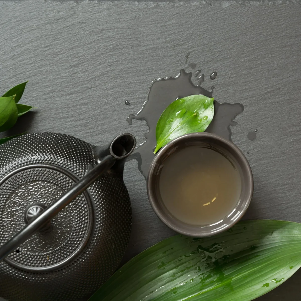 Matcha VS Hojicha, Perbedaan dan Mana yang Lebih Baik? 1 matcha vs hojicha