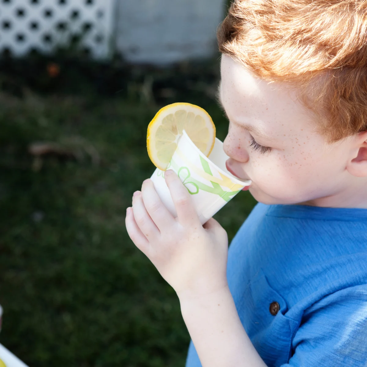serbuk soda untuk minuman