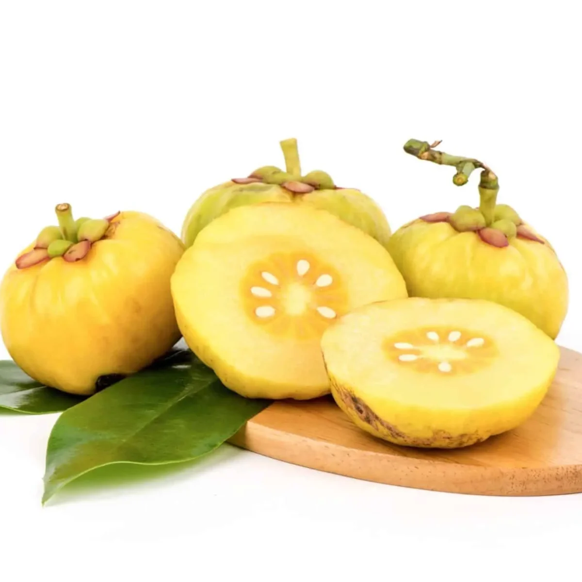 Manfaat Garcinia Cambogia atau Asam Gelugur Untuk Menurunkan Berat Badan 1 cambodia carcinia