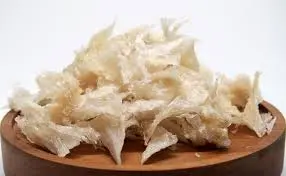 Manfaat Bird Nest atau Sarang Burung Walet Untuk Kesehatan Tubuh 2 Manfaat Bird Nest atau Sarang Burung Walet Untuk Kesehatan Tubuh 1