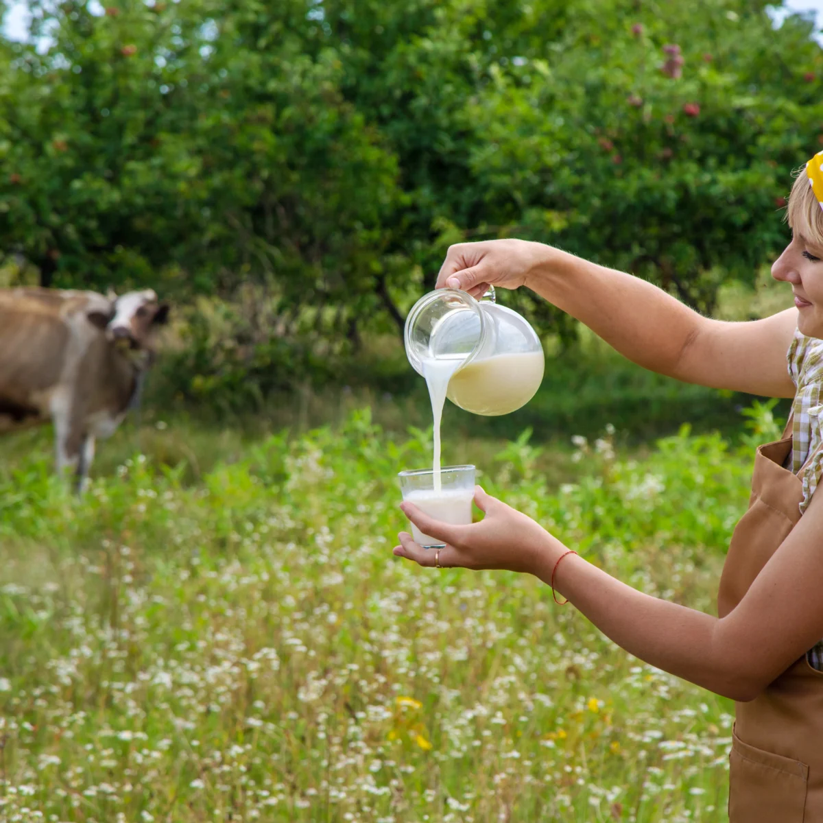 susu skim vs susu murni
