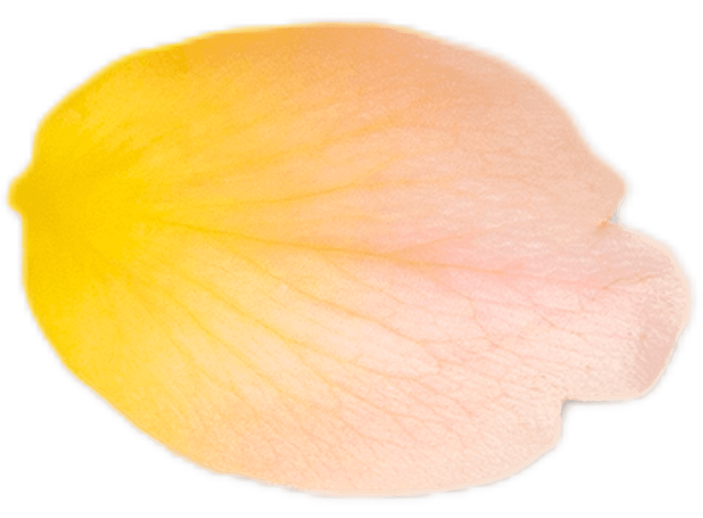 Maklon Minuman 26 Maklon Minuman 25