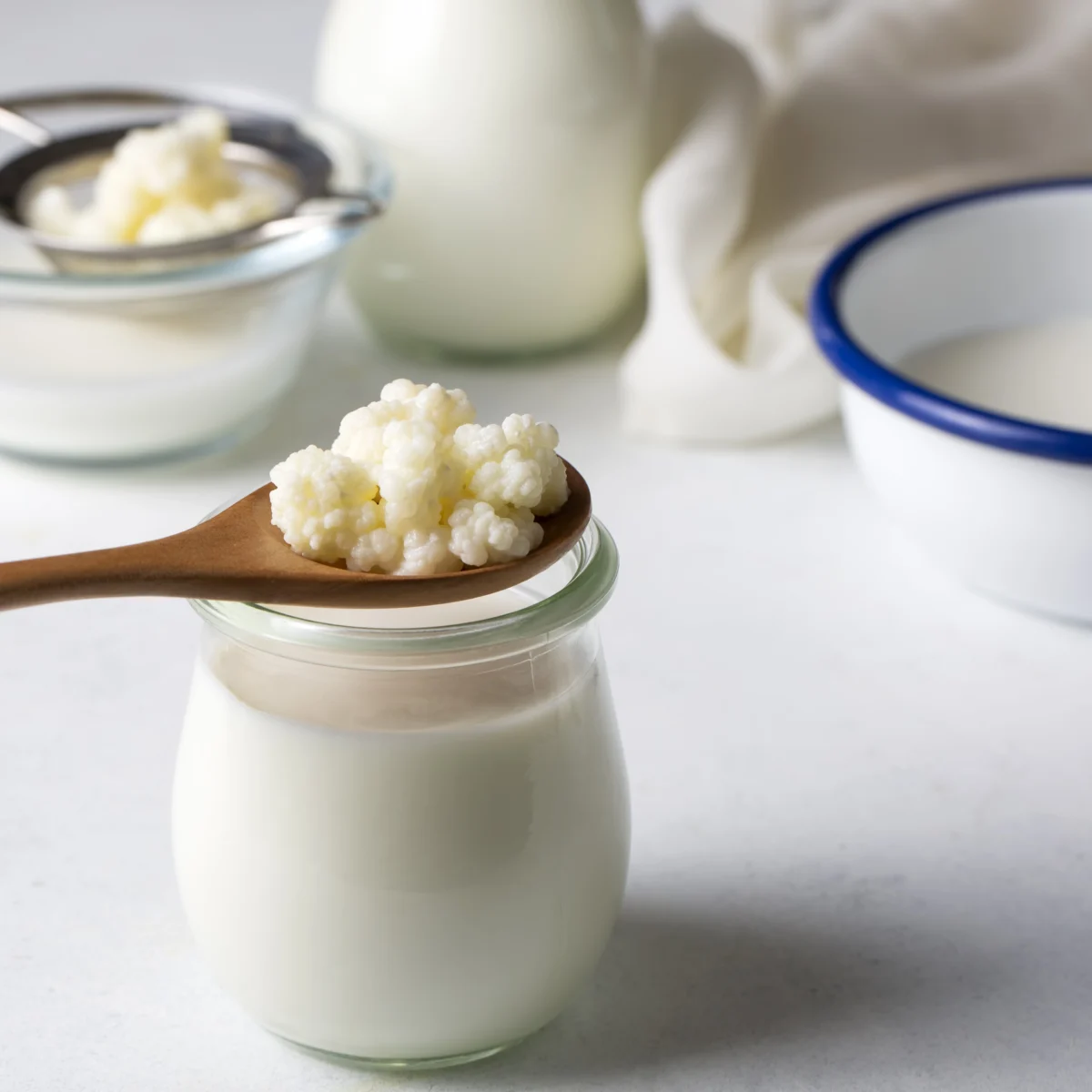 Cara Membuat Susu Kefir di Rumah Dengan Mudah  1 cara membuat susu kefir