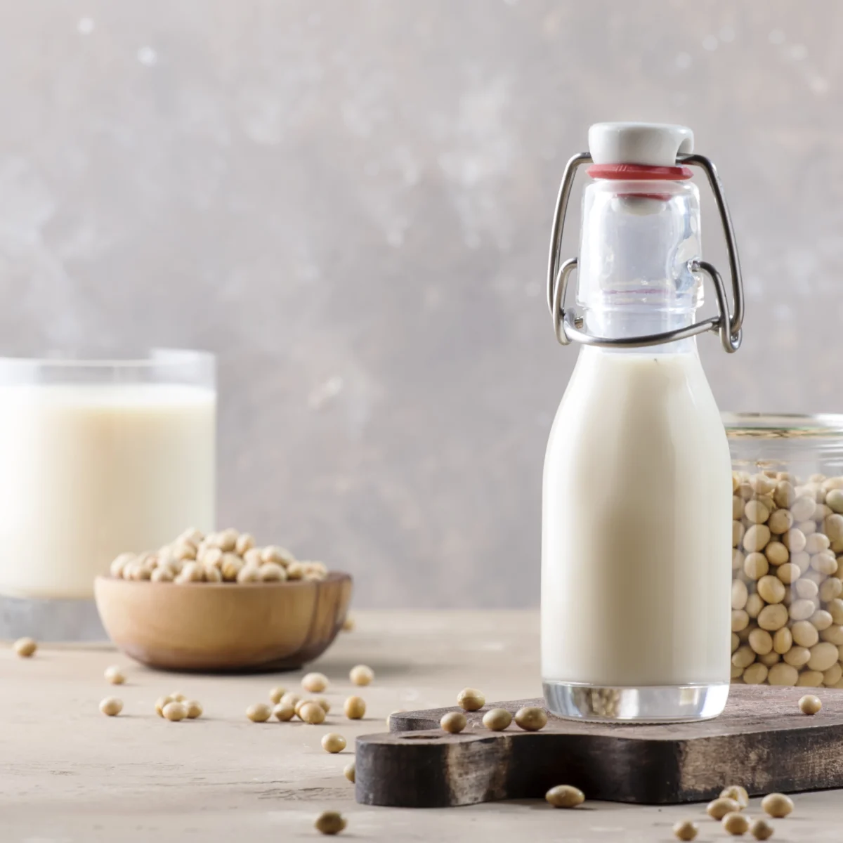 minuman protein nabati