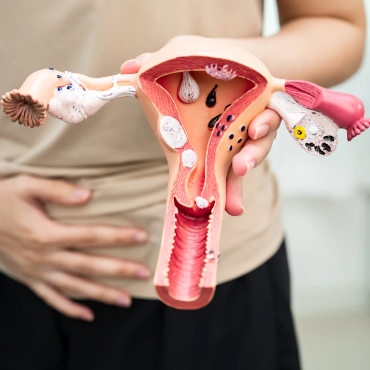 minuman pelancar haid