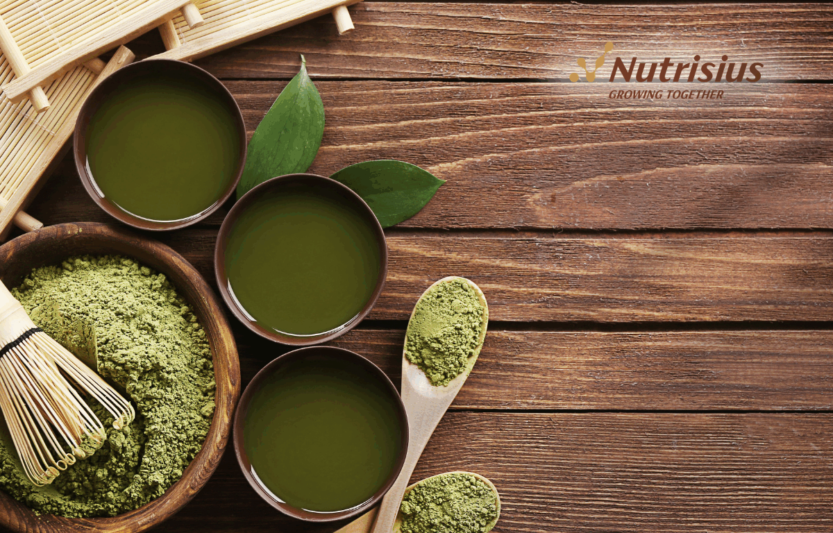 5 Manfaat Matcha Powder untuk Kesehatan Tubuh dan Fokus 1 Matcha Powder