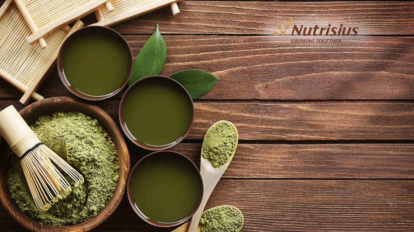 Matcha Powder
